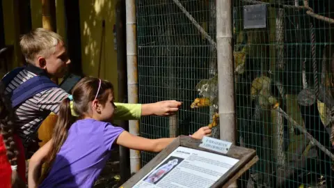 Belépőjegy a Kecskeméti Vadaskertbe 22