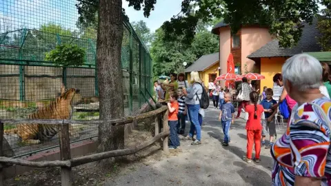 Belépőjegy a Kecskeméti Vadaskertbe 27