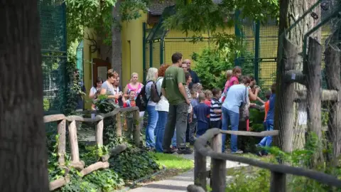 Belépőjegy a Kecskeméti Vadaskertbe 38