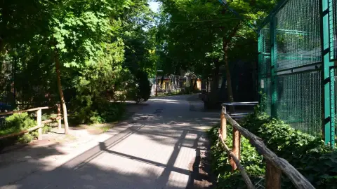 Belépőjegy a Kecskeméti Vadaskertbe 25