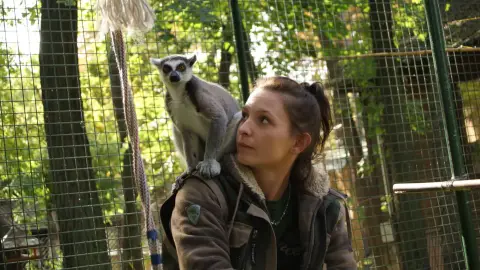 Belépőjegy a Kecskeméti Vadaskertbe 40