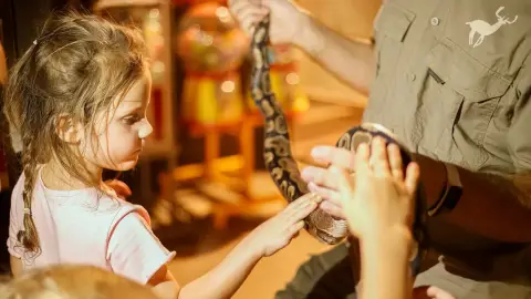 Belépőjegy a Kecskeméti Vadaskertbe 45