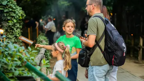 Belépőjegy a Kecskeméti Vadaskertbe 17