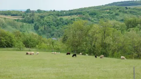 Naphegykuckóban relax és kikapcsolódás az Écsi dombtetőn 15