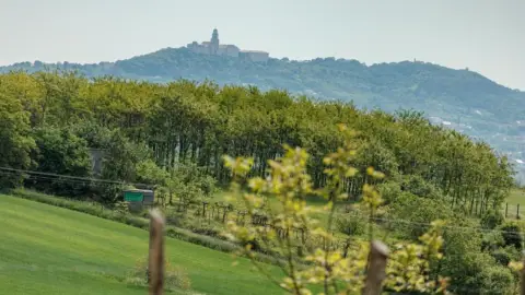 Naphegykuckóban relax és kikapcsolódás az Écsi dombtetőn 14