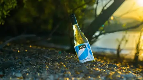 Naplemente & Brunch! – Hajókirándulás finom falatokkal a Dunakanyarban 11