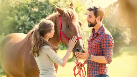 A Összehangolódás órája pároknak, lovakkal 2