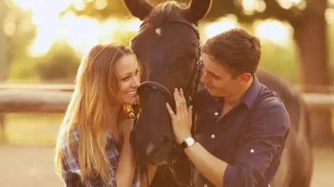 A Összehangolódás órája pároknak, lovakkal 1