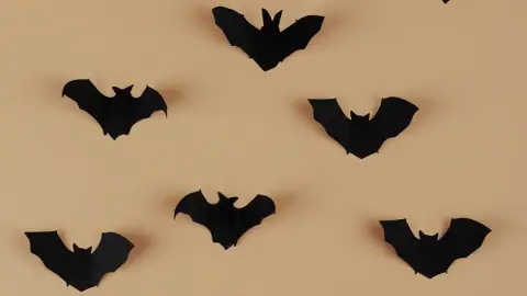 Denevérkirály /World of Adventures szabadtéri játék Gerecsén 2