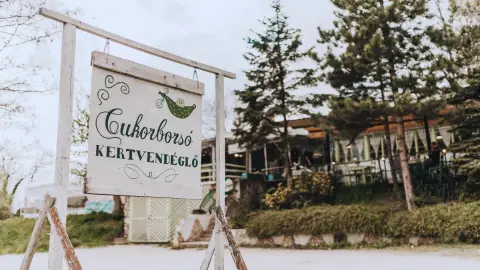 Vacsorázzatok kettesben a Pátyi Cukorborsó Kertvendéglőben 5