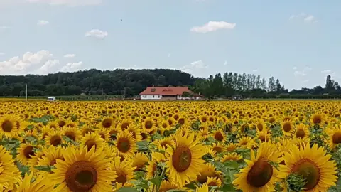 Csapatépítő a Zarah Tanyán, Cserkeszőlőn - kikapcsolódás 2 éjszakára, 25 fő részére 12