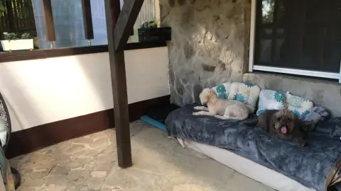 Kutyahotel ajándékba négylábú barátnak 2