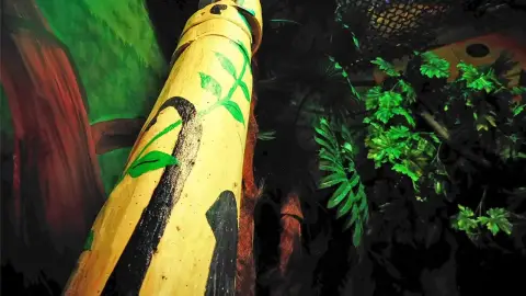 Predator / Ragadozó – Szabadulószoba Budapesten 2