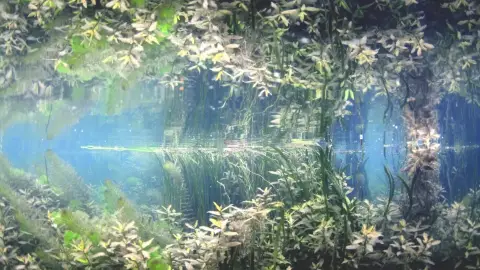 INTRO merülés Tatán a Fényes-forrásban előképzettség nélkül 4