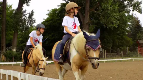 Lovasoktatás karámban gyerekeknek a Wackor lovastanyán 3