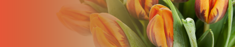 Nőnapra ajándékötletek