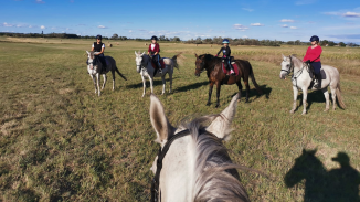 Egész napos lovas túra az alföldi betyár utakon gyakorlott lovasoknak kosár