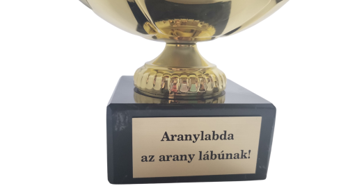 Aranylabda 20 cm-es labdával, egyedi gravírozással 2