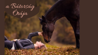 A Bátorság órája – Az önbizalom növelése lovak segítségével kosár