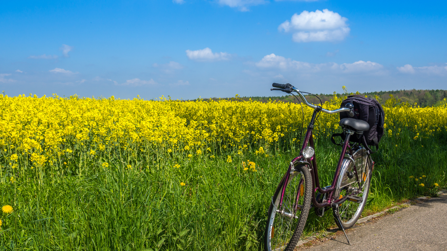 Kerekezzetek a Tisza tó körül/ Biketek Bérlése Tiszafüreden 3