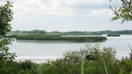 Kerekezés a Tisza tó körül/ Genesis, KTM Bérlése Tiszafüreden 3