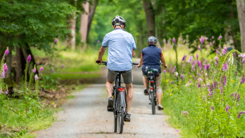 Kerekezzetek a Tisza tó körül/ Biketek Bérlése Tiszafüreden 1