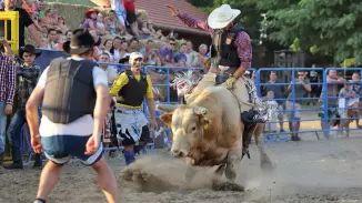 Bikarodeó / Legveszélyesebb Meglepkék élmény kosár