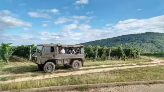 Kalandtúra katonai Pinzqauer terepjárón a Palkonyai szőlőhegyen kosár