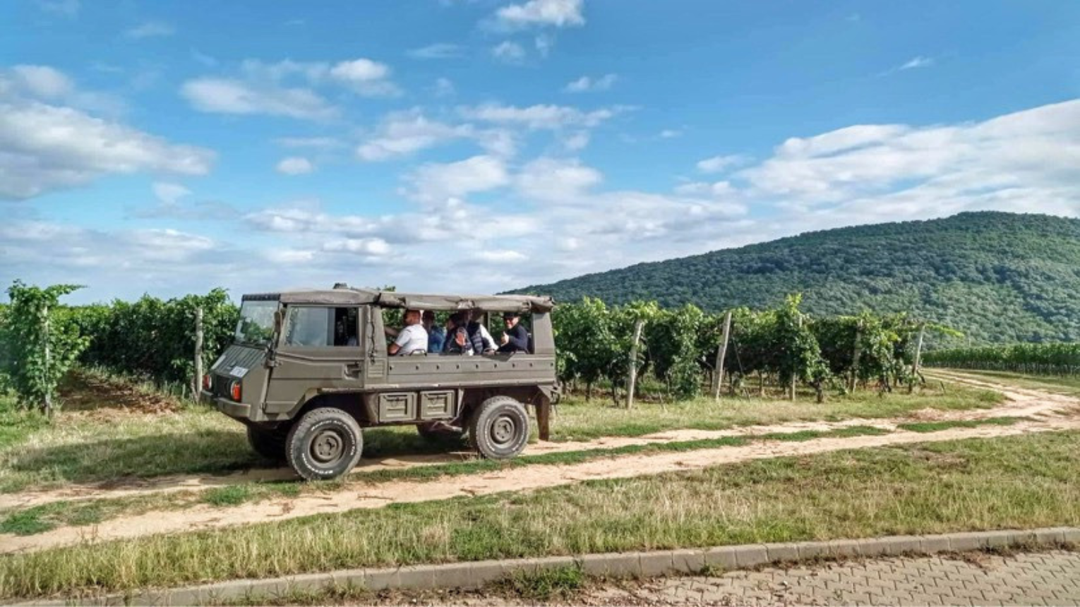 Kalandtúra katonai Pinzqauer terepjárón a Palkonyai szőlőhegyen