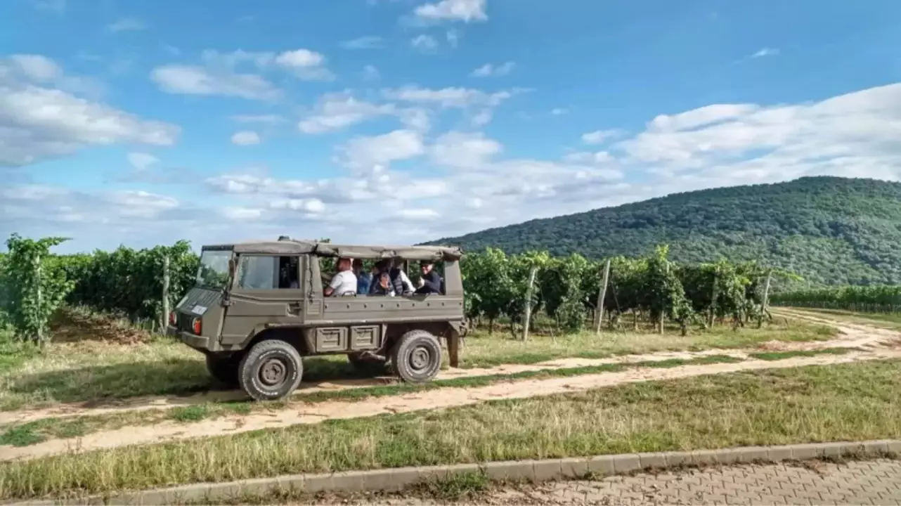 Kalandtúra katonai Pinzqauer terepjárón a Palkonyai szőlőhegyen fő kép