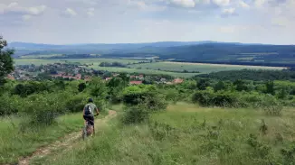 Bringa és Bisztró a Budai-hegység lankáin