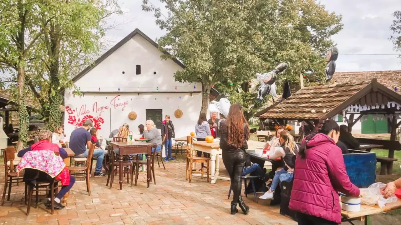 Csapatépítés a Villa Negra Tanyán a Tisza mentén fő kép