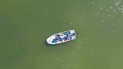 Béreljetek csónakot a Tisza-tavon egész napos horgászkalandra 2