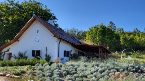 Meghitt pihenés Dörgicsén a Kisleshegy Vendégházban 9