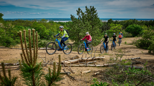 E-bike-on a Velencei-hegység ösvényein 8