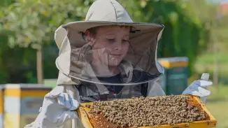 Méhészet látogatás a Dolina Nektárnál, Albertirsán