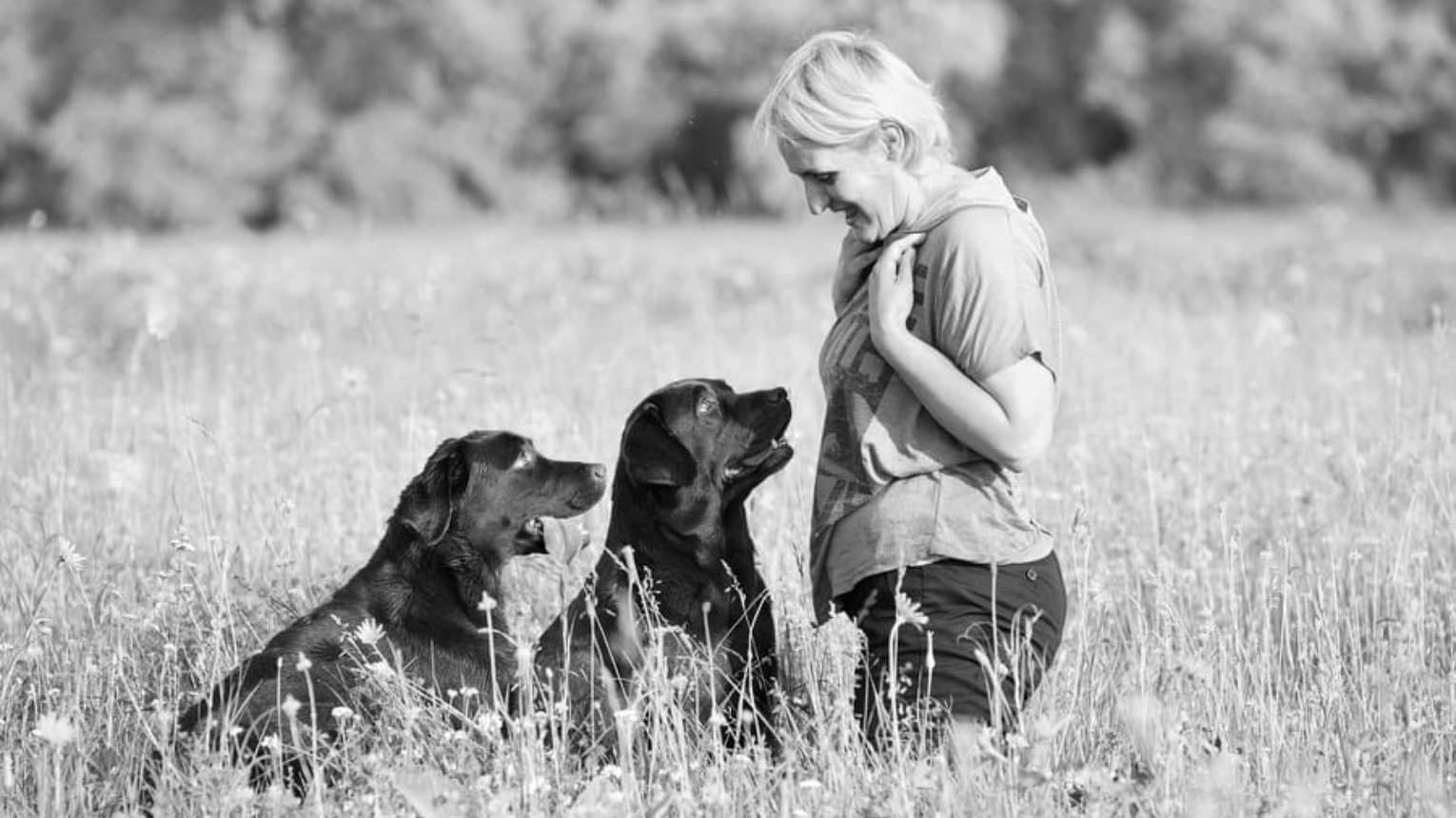 Párkapcsolati élményprogram terápiás Labradorokkal 2
