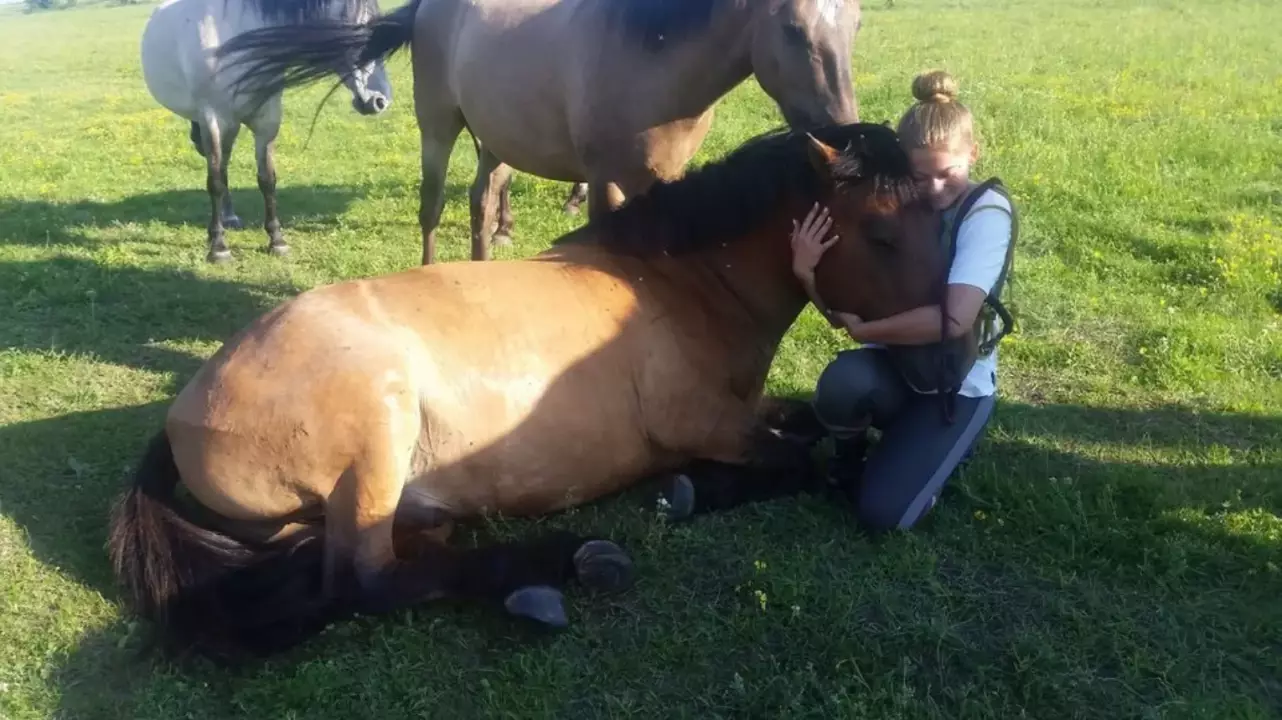 Legyen egy lovad egy napra SUTTOGÓ ERŐ Hollókőn fő kép