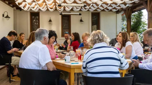 Szőlőszem, tőkéről a palack mélyéig Borkóstoló a Folly Arborétumban 3