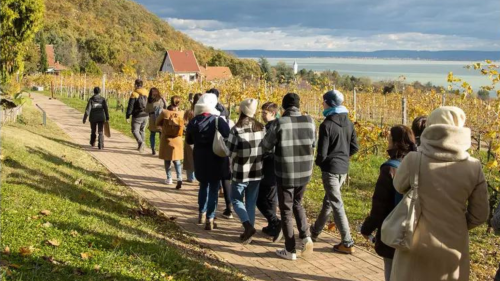 Szőlőtől a borig – Kalandozás a tőkék között a Folly Arborétumban 3