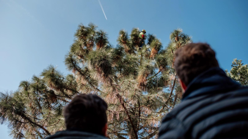 Belevaló apás program – Szörpkóstoló a Folly Arborétumban 1