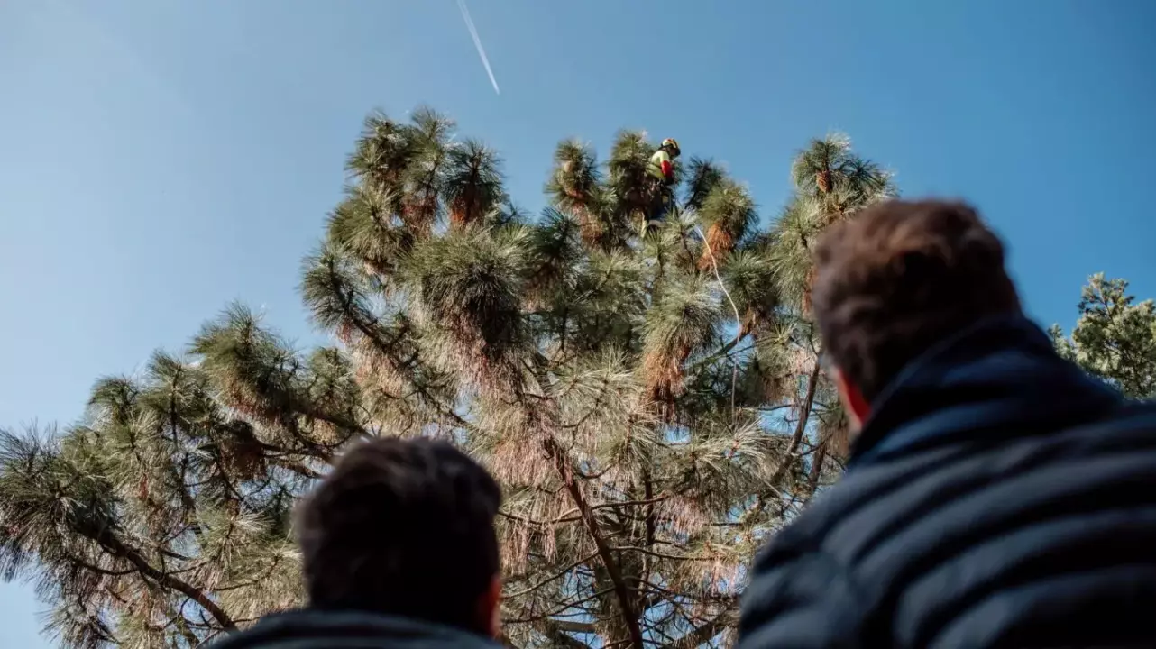 Belevaló apás program – Szörpkóstoló a Folly Arborétumban fő kép