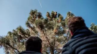 Bambizás Apával! Szörpkóstoló a Folly Arborétumban