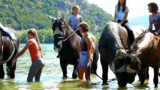 Lovas fürdőzés gyerekeknek a Dunakanyarban Dömösön! kosár