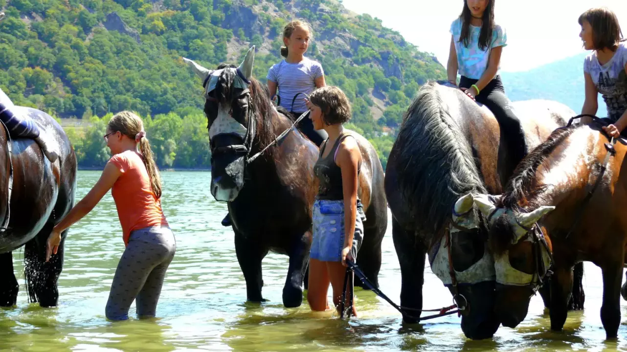 Lovas fürdőzés gyerekeknek a Dunakanyarban Dömösön! fő kép