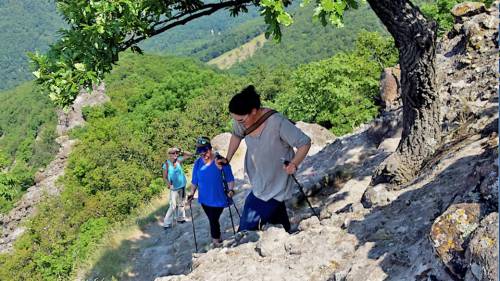 Nordic Walking túra és erdei meditáció ajándékba 4