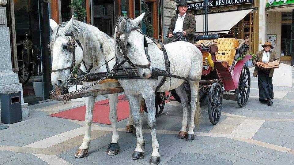 Romantikus hintózás Budapesten kedveseddel