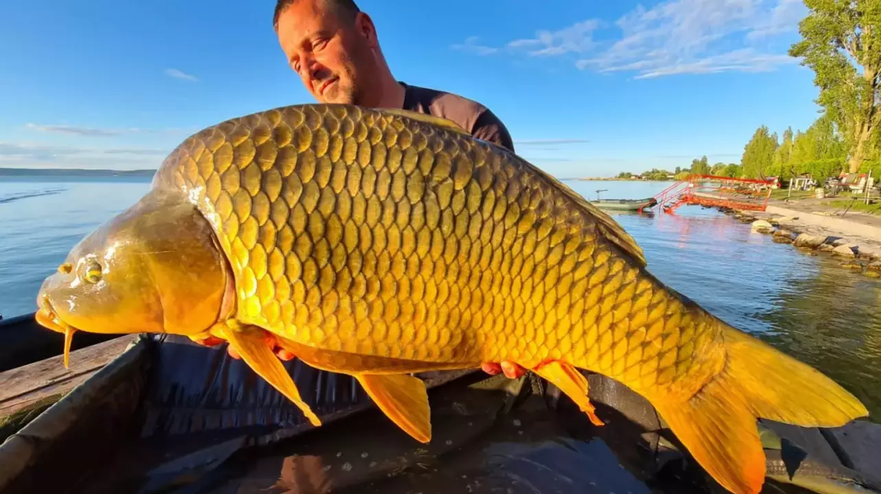 Horgássz a Balaton partján, elő - és utószezonban! fő kép