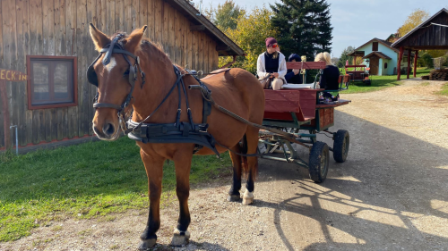 Atipikus kikapcsolódás kettesben a La Roulotte-ban, az Őrségben 8