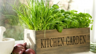 Hobbi kertész alapok-Zöldségek, dísznövények kosár